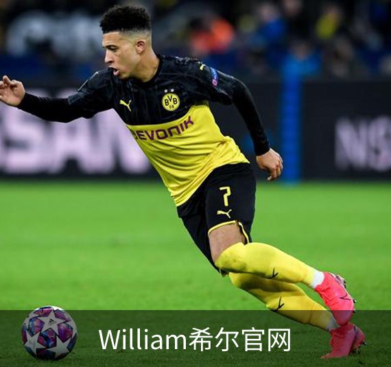 关于William希尔官网